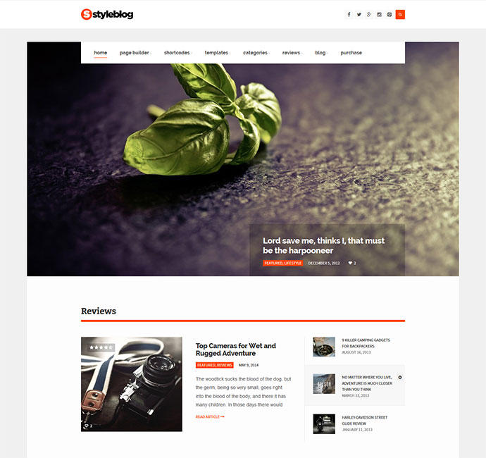 StyleBlog - Modern Personal, News WordPress Theme