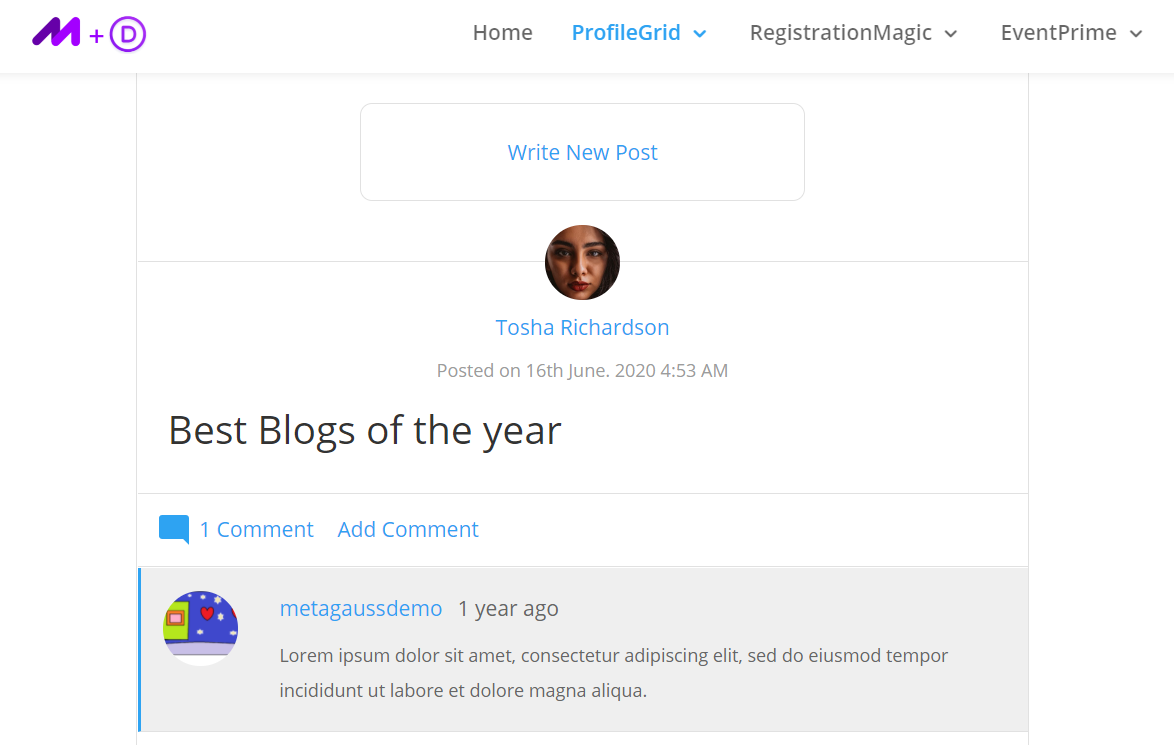 wordpress 电子商务主题