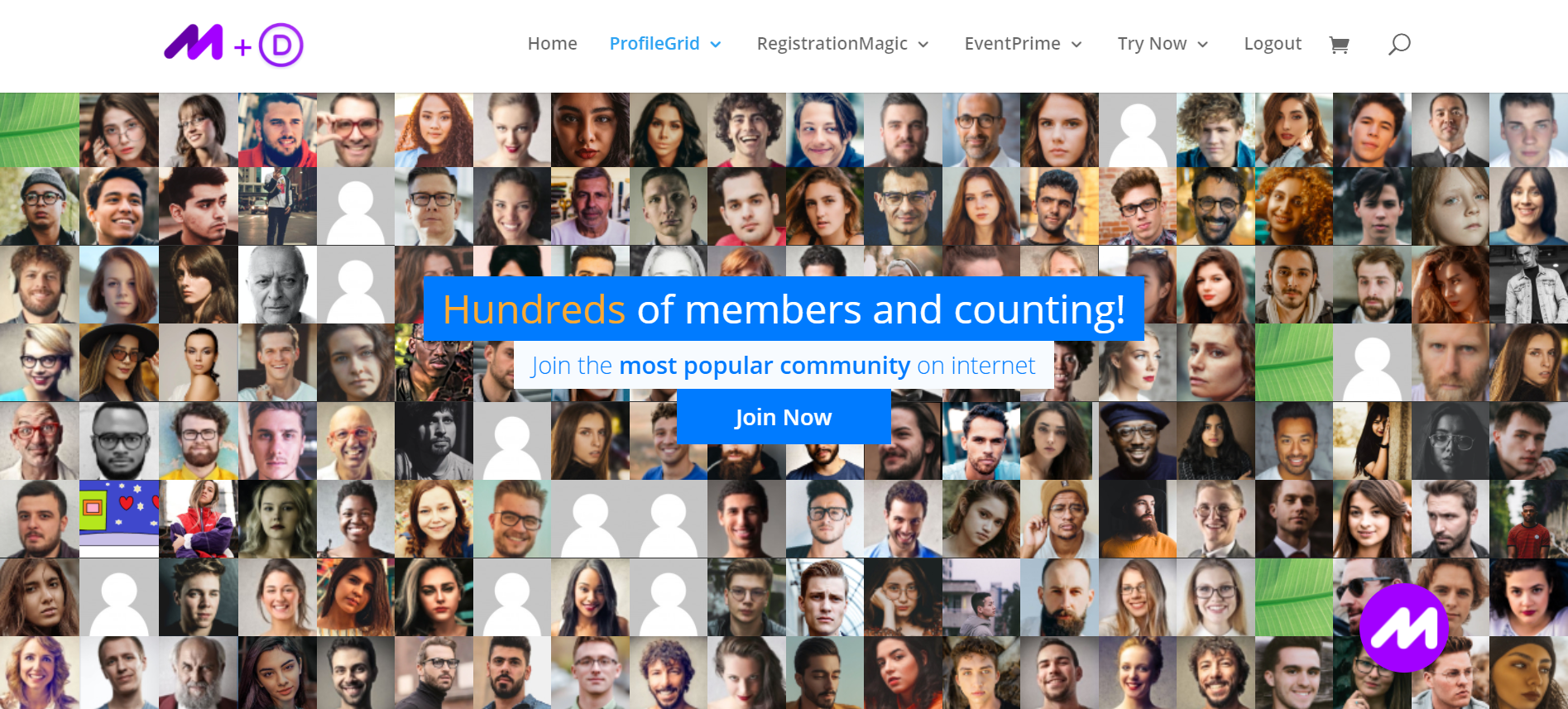 WordPress motyw e-commerce