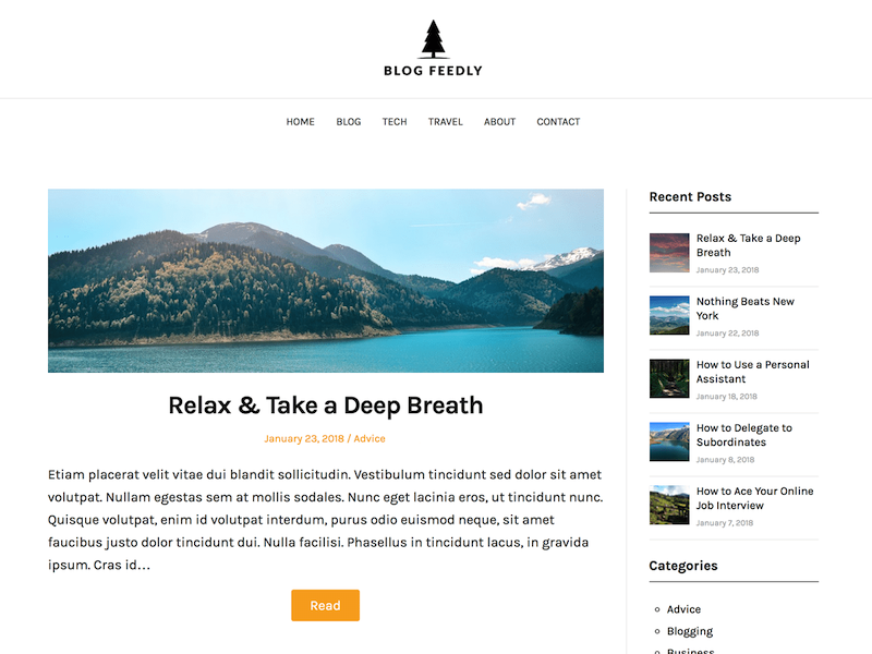 Blog Feedly Tema WordPress