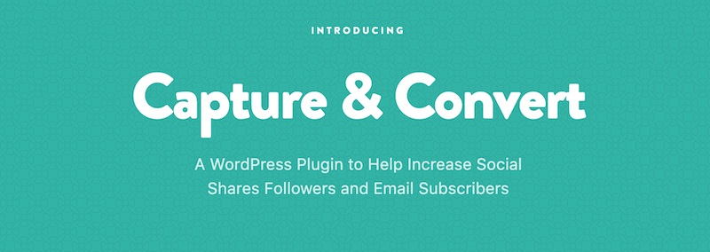 capturer et convertir le plugin wordpress