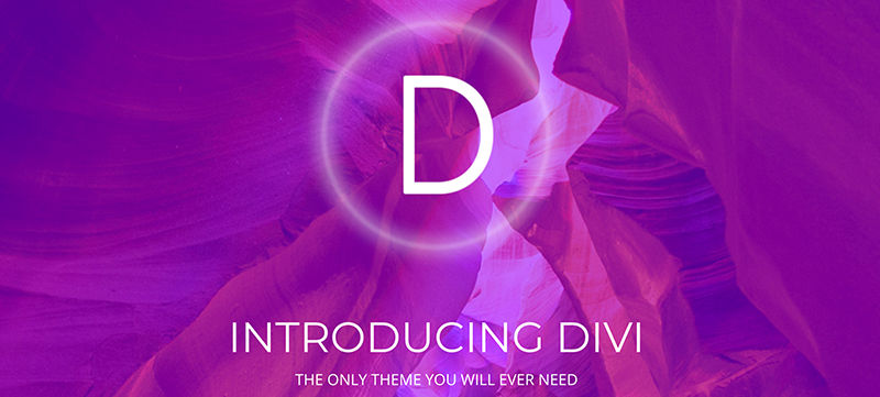 Motyw Divi WordPress