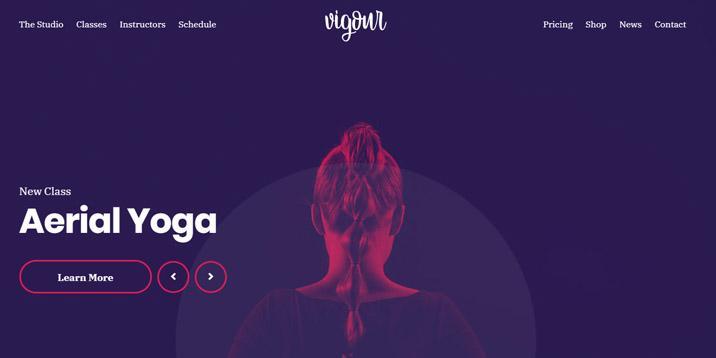Motyw Vigor WordPress autorstwa cssigniter