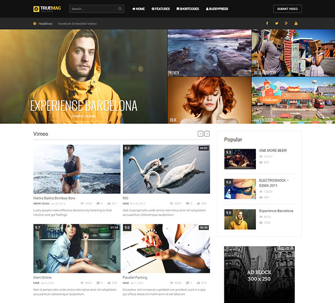 True Mag — тема WordPress для видео и журналов