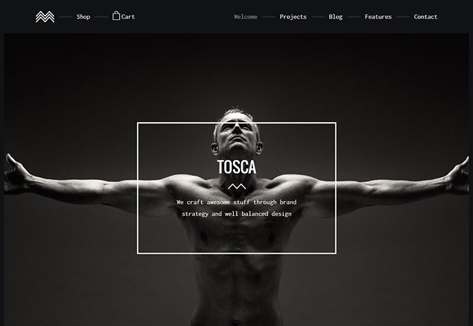 Tosca - Un nuevo tema creativo de WordPress para portafolios y comercio electrónico