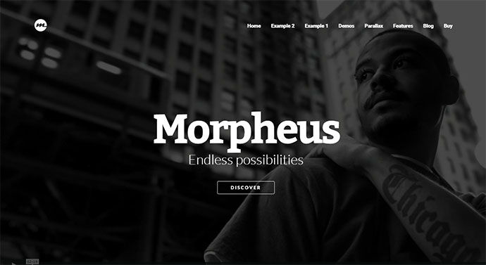 Morpheus - 终极一页视差主题