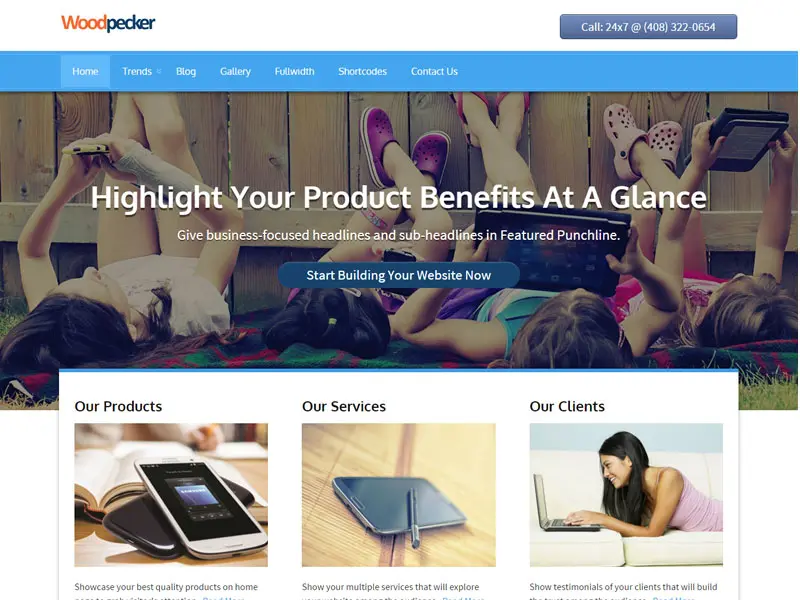 Tema di business della tecnologia Wordpress Woodpecker