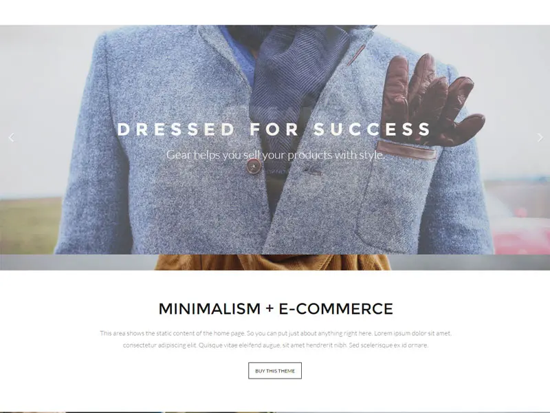 Tema Wordpress per l'e-commerce reattivo