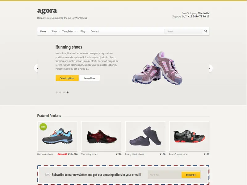Tema di e-commerce reattivo Agora per Wordpress