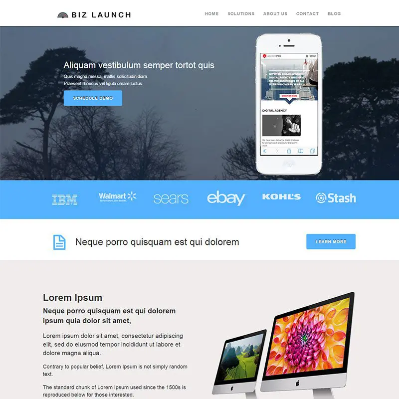 Biznes-Launcher-Pro Motyw Wordpress