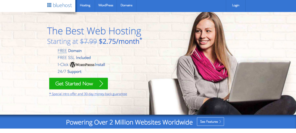 Bluehost ist der günstigste Hosting-Service