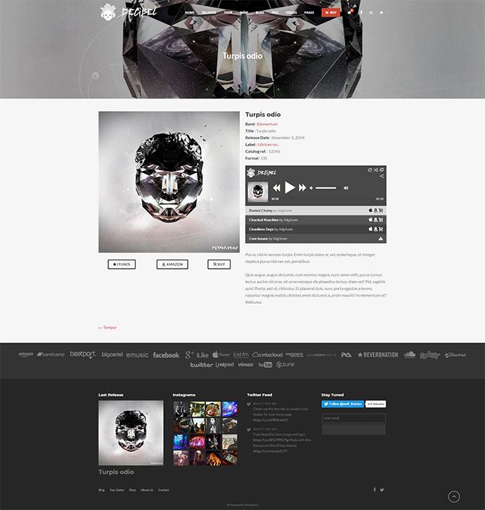 Decibel — профессиональная музыкальная тема WordPress
