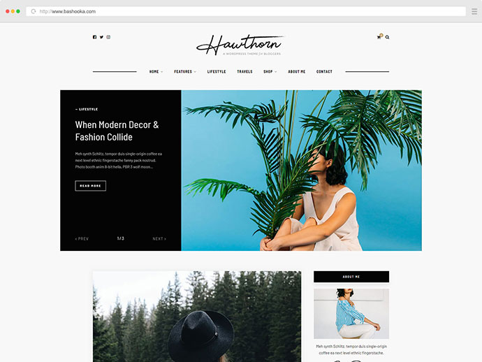 Hawthorn - 一个 WordPress 博客和商店主题