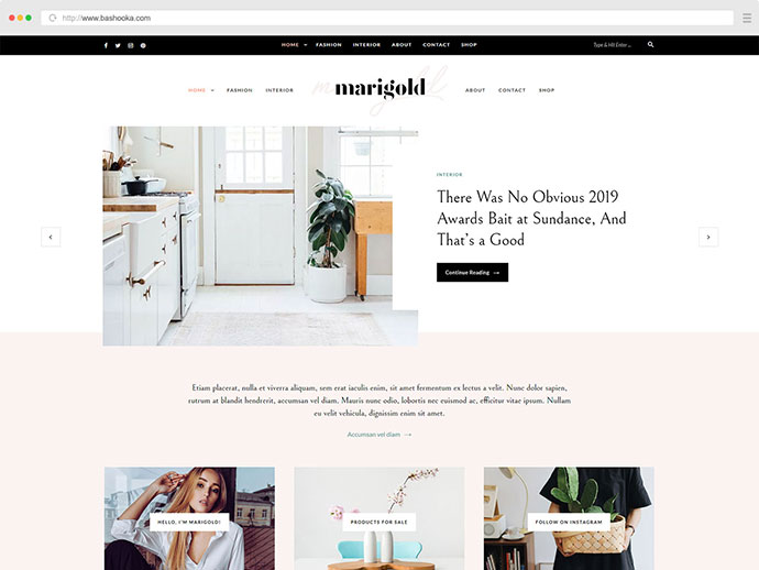 Marigold - 一个 WordPress 博客和商店主题