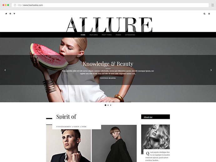 Allure - 一个时尚的博客主题