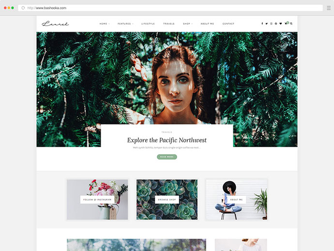 Laurel - 一个 WordPress 博客和商店主题