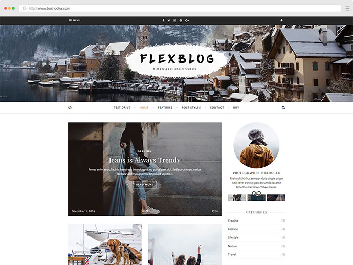 Flexblog - 一个 WordPress 博客主题
