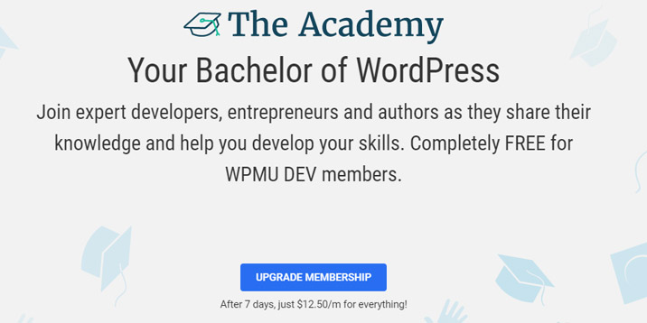 WPMU DEV Academy