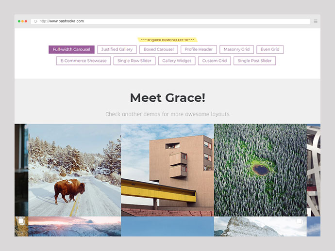 Instagram-Feed-Galerie – Grace für WordPress