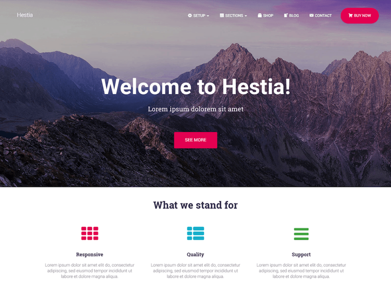 Hestia WordPressのテーマは、将来を見据えたテーマに関しては5位です。