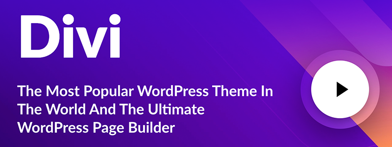 将来を見据えたテーマに関しては、DiviWordPressテーマが1位です。