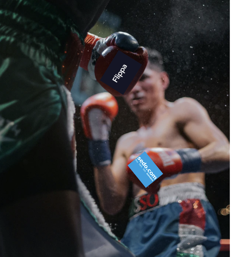 Flippa Vs.Sedo 웹사이트 및 blogs.png 구매 및 판매처