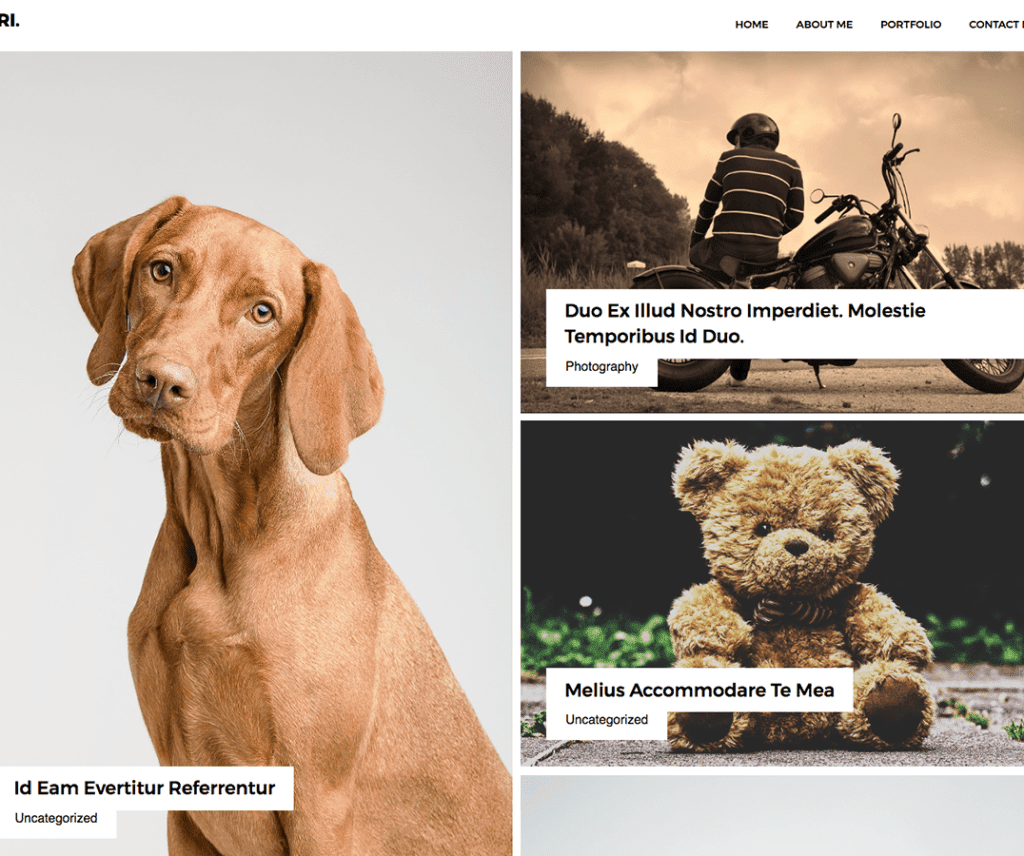 Adri Free Photography Wordpress Theme