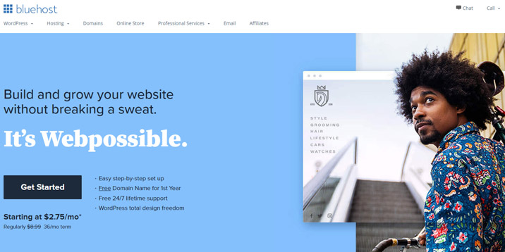 Registradores de domínio Bluehost