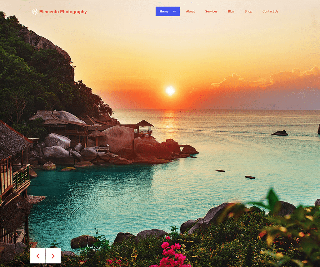 Elemento Photography Portofoliu gratuit Tema Wordpress