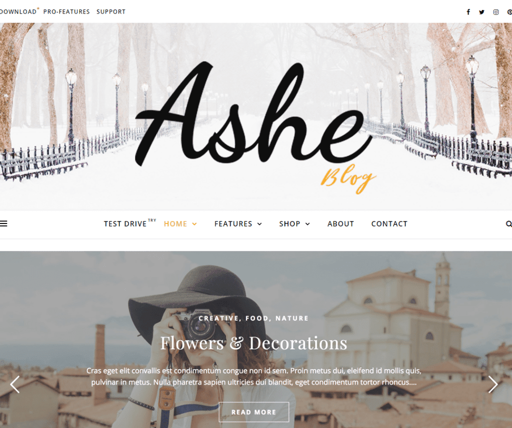 Ashe Mâncare și băutură gratuită Tema Wordpress