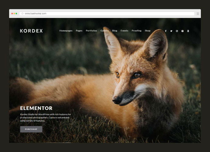Kordex | Fotografie de studio pentru WordPress
