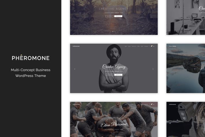 Pheromon - Kreatives Multi-Konzept-WordPress-Theme