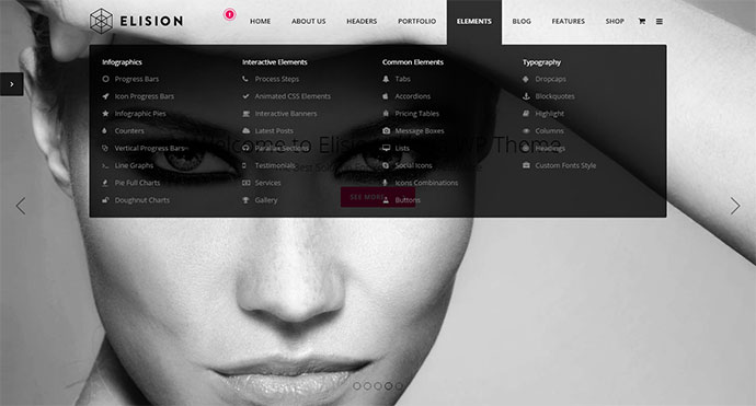 Elision - Tema WordPress multifuncțional Retina