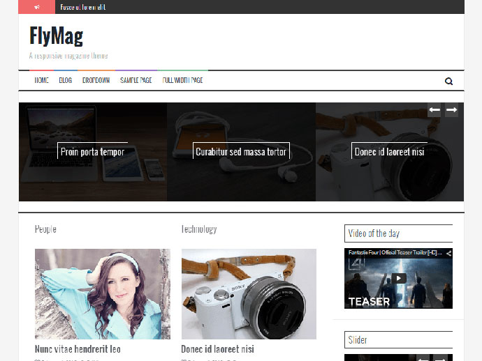 FlyMagFlyMag