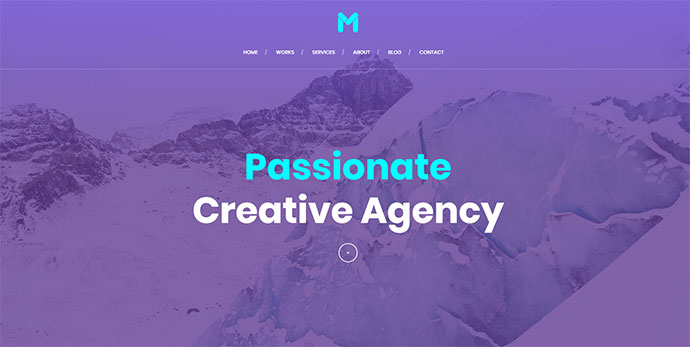 Massive Dynamic - WordPress Website-Baukasten