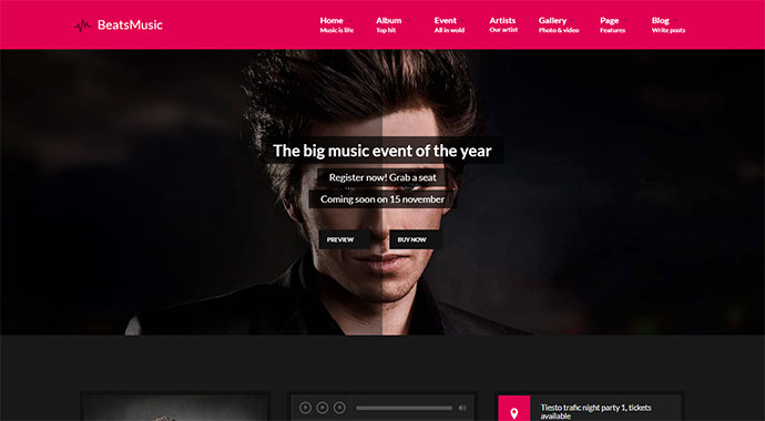 VibeMusic - Musiker, DJs, Sänger, Bands WordPress Theme
