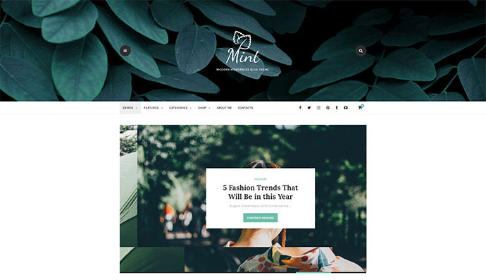 Mint - Un hermoso tema de blog de WordPress