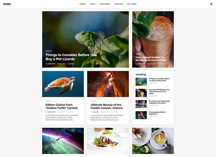 Ever - Tema de WordPress limpio y simple
