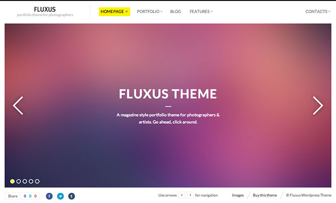 Fluxus - Tema de portafolio para fotógrafos