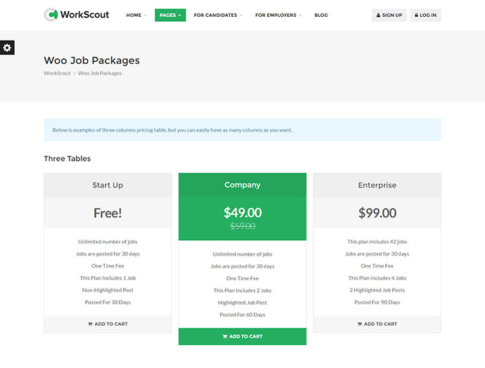 WorkScout - Tema de WordPress para bolsa de trabajo