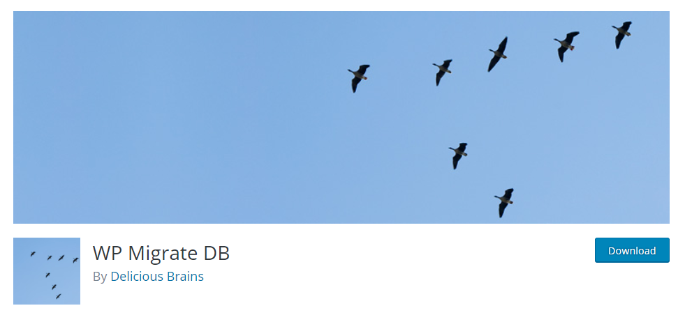 WP Migrate DB este preferat de dezvoltatori, deoarece ajută la migrarea fără probleme a bazei de date