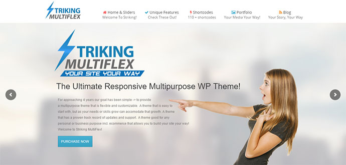 ธีม WP ที่ตอบสนองต่อ MultiFlex และอีคอมเมิร์ซที่โดดเด่น