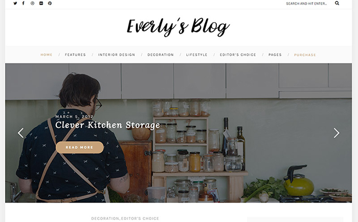 Everly - سمة WordPress لمدونة Hipster