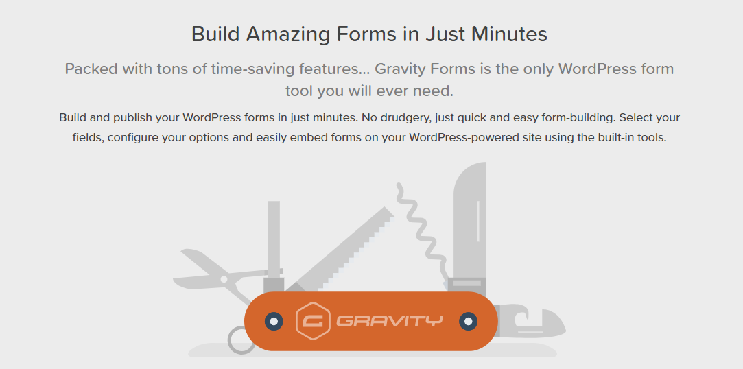 รูปภาพสำหรับ Gravity Forms WordPress Contact Form Plugin
