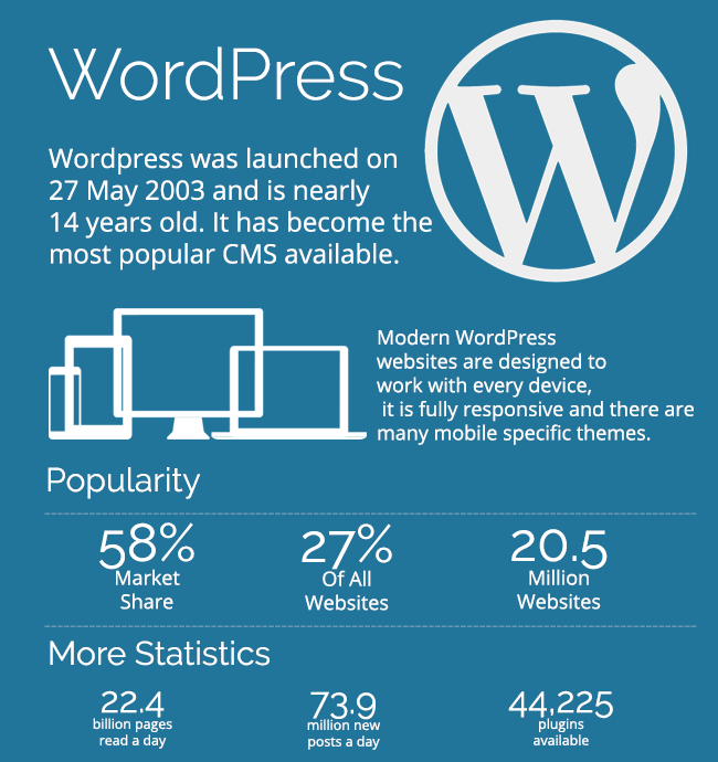 wordpress nedir - nihai rehber ve infografik
