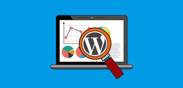 WordPress are multe pluginuri de analiză