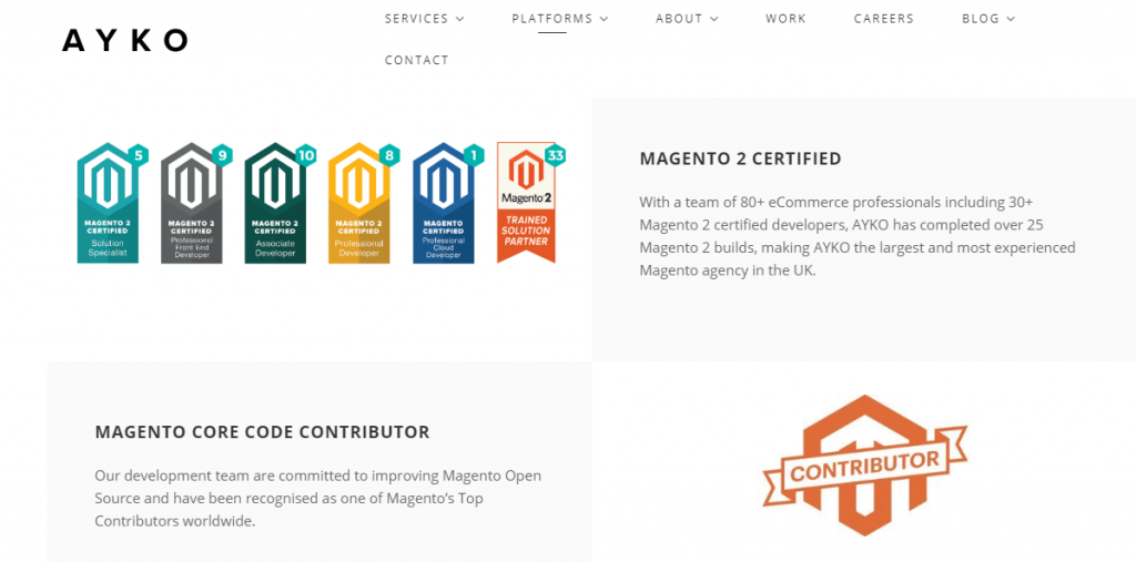 Magento-Wartungsanbieter