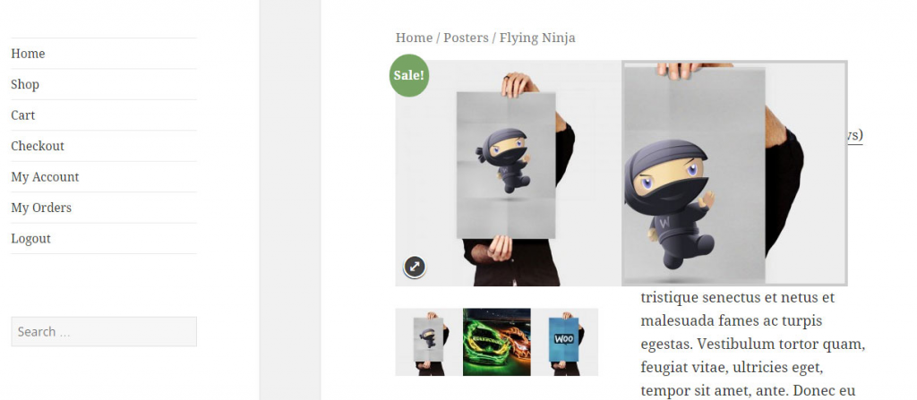 WooCommerce Bildzoom-Plugins