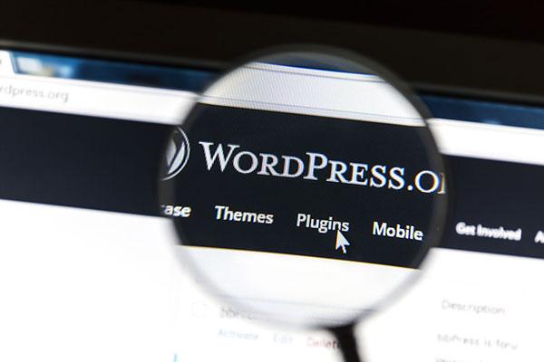 image1 WordPress Plugin Responsive