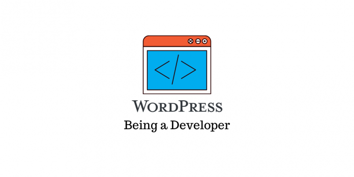 WordPress Geliştiricisi WordPress Developer